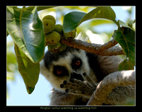 Anja Park Madagascar